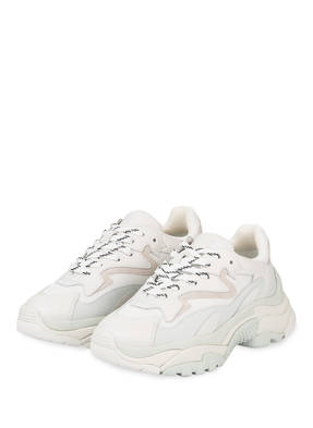 ash Sneaker ADDICT