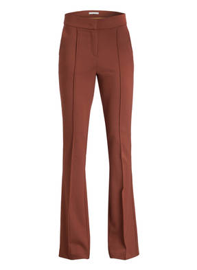 BEATRICE B Hose