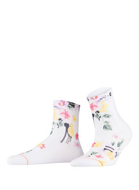 STANCE Socken JUST DANDY