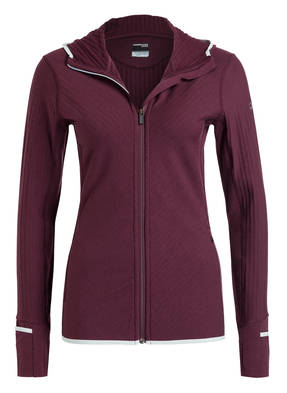 icebreaker Funktionsjacke DESCENDER