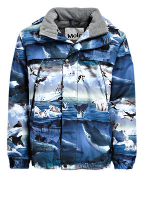 molo Skijacke CASTOR