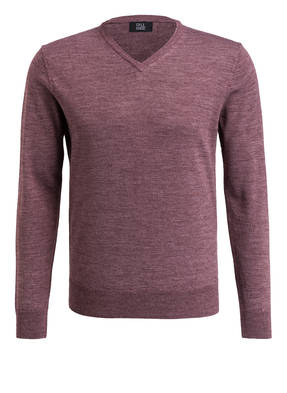 PAUL Pullover