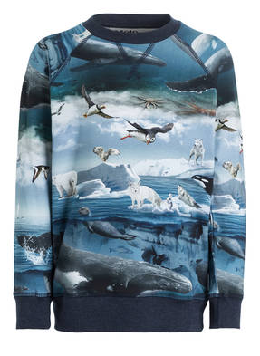 molo Sweatshirt ROMEO