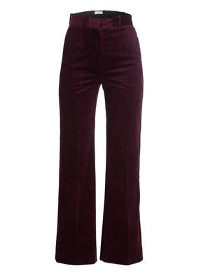 sandro Hose