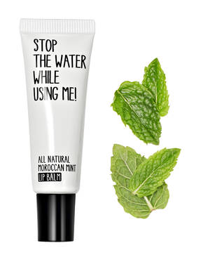 STOP THE WATER WHILE USING ME! MOROCCAN MINT