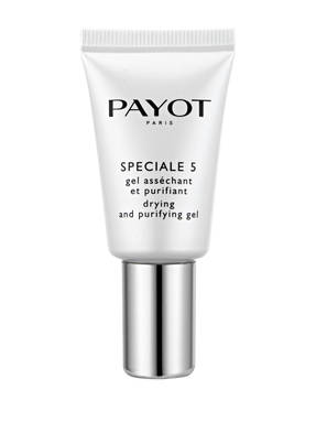 PAYOT PÂTE GRISE