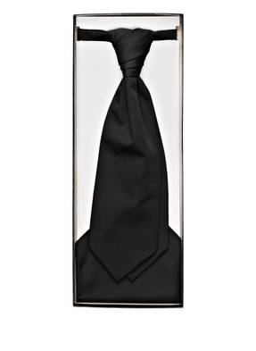 WILVORST Set: Plastron und Einstecktuch