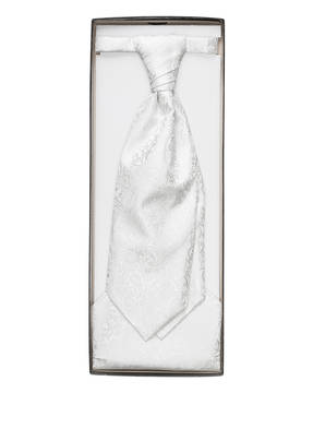WILVORST Set: Plastron und Einstecktuch