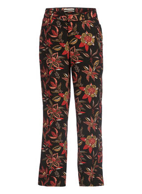 SCOTCH & SODA Hose