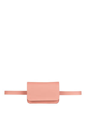 Anderson's Gürteltasche
