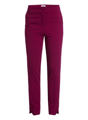 BEATRICE B 7/8-Hose