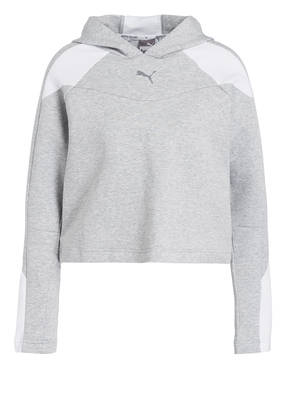 PUMA Hoodie Evostripe