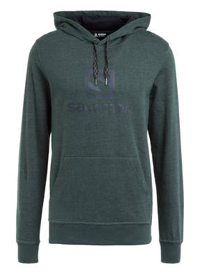 SALOMON Hoodie