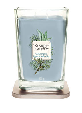 YANKEE CANDLE COASTAL CYPRESS