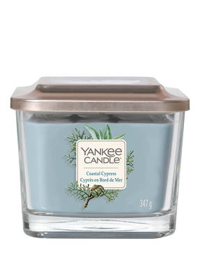 YANKEE CANDLE COASTAL CYPRESS