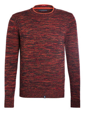 COLOURS & SONS Pullover SUNNY