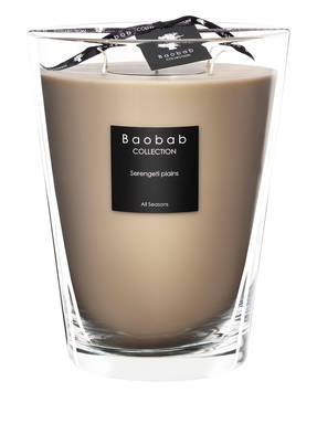 Baobab COLLECTION Duftkerze SERENGETI PLAINS