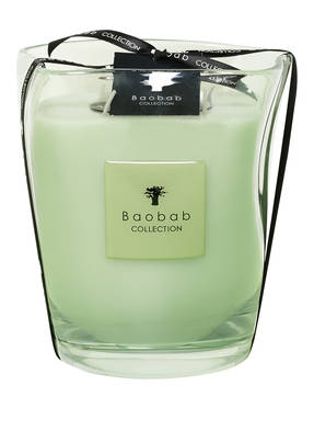 Baobab COLLECTION Duftkerze MODERNISTA VIDRE POETRY