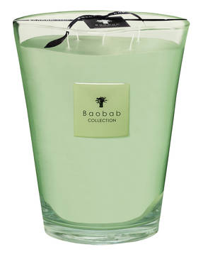 Baobab COLLECTION Duftkerze MODERNISTA VIDRE POETRY