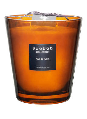 Baobab COLLECTION Duftkerze CUIR DE RUSSIE