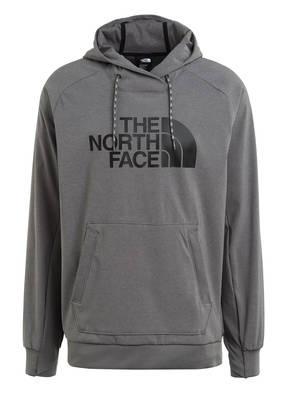 THE NORTH FACE Hoodie TEKNO LOGO