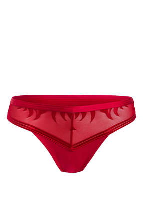 Triumph Slip PALM SPOTLIGHT
