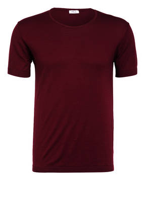 PAUL Strickshirt