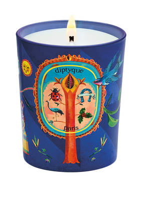 diptyque AMBRE FÉLICITÉ (HARMONISIERENDER AMBER)