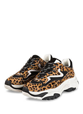ash Plateau-Sneaker ADDICT