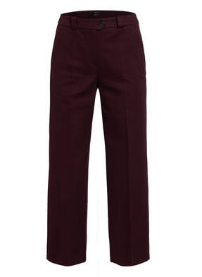 windsor. Culotte