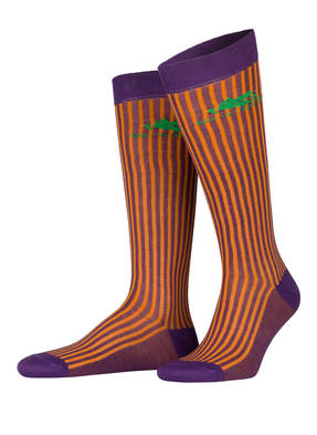 ETRO Socken PEGASO
