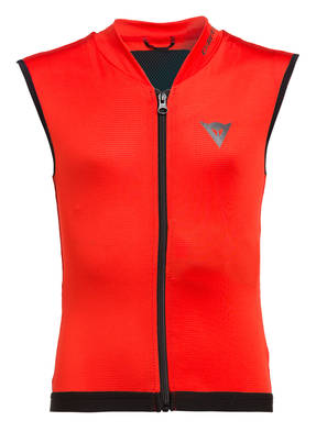 Dainese Rückenprotektor FLEX LITE