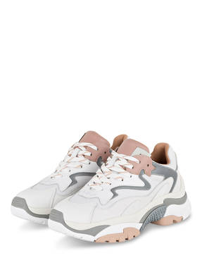 ash Sneaker ADDICT