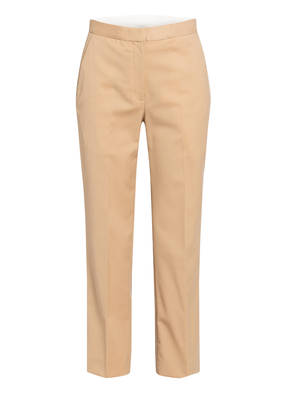 sandro Hose