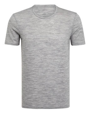 icebreaker Funktionswäsche-Shirt ANATOMICA mit Merinowolle