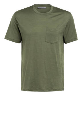 icebreaker T-Shirt RAVYN aus Merinowolle