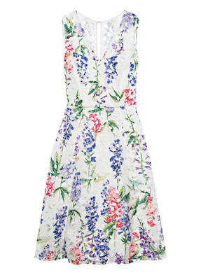 Phase Eight Spitzenkleid LONNIE