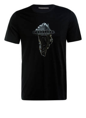 icebreaker T-Shirt mit Merinowolle