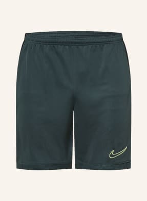 Nike Trainingsshorts Academy schwarz