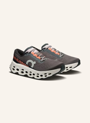 On Laufschuhe Cloudmonster 3 grau