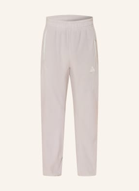 Nike Trekkinghose Acg Wolf Tree grau