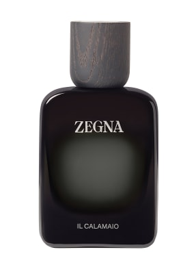 Zegna Parfums Il Calamaio Parfémová voda 100 ml