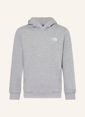 The North Face Hoodie Teen Evolution grau