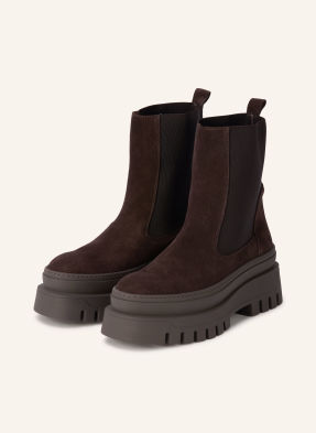 Steve Madden Chelsea Boots Cassandra tmavě hnědá / zlatá