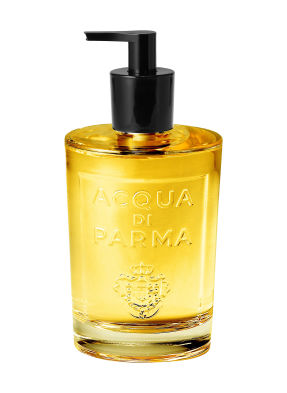 Acqua Di Parma Buongiorno Sapone Classico Mýdlo na ruce 330 ml
