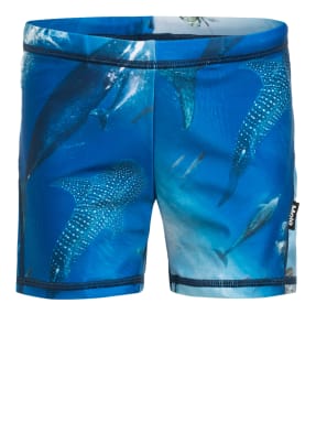 molo Badeshorts NORTON mit UV-Schutz 50+