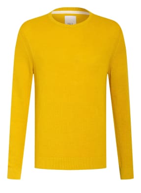 PAUL Pullover
