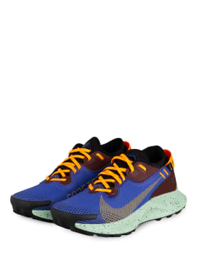 Nike Trailrunning-Schuhe PEGASUS TRAIL 2 GORE-TEX