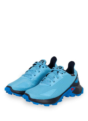 SALOMON Multifunktionsschuhe ALPHACROSS BLAST CSWP