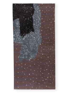 HEMISPHERE Cashmere-Schal BAMILY
